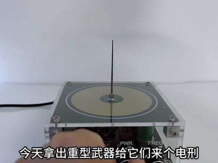 用特斯拉线圈电击十几只蚊子,简直堪称视觉盛宴!#蚊子 #水蛭 #解压 #特斯拉线圈 #有害生物