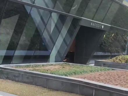 智能眼镜选乐奇,解锁你的专属赛博龙虾新玩法 #乐奇AI眼镜#智能眼镜#科技改变生活#智能终端#openclaw