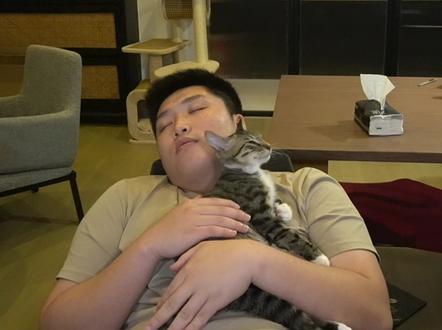 刚刚好像有什么闪过去了#apex英雄 #皮特174 #主播日常 #猫