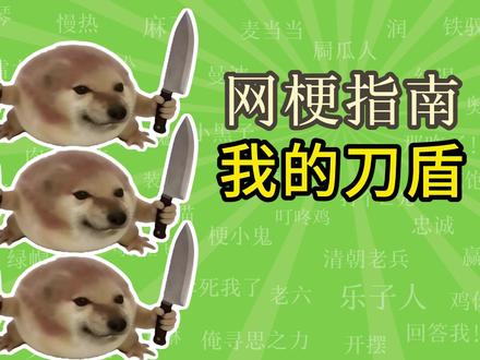 我的刀盾是什么梗?猫meme梗?【网梗指南】 #搞笑 #抽象 #我的刀盾 #梗 #猫meme