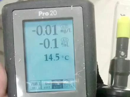 Y S I电化学法溶解氧仪的读数方法。