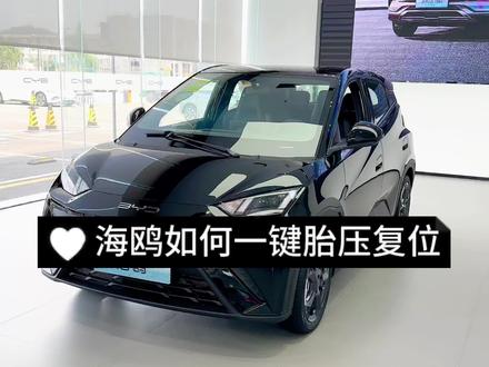 海鸥如何一键胎压复位#比亚迪 #胎压复位 #比亚迪海鸥 #dou是好车