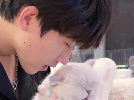 如听仙乐耳暂明#治愈猫咪 #哈基米 #萌宠出道计划