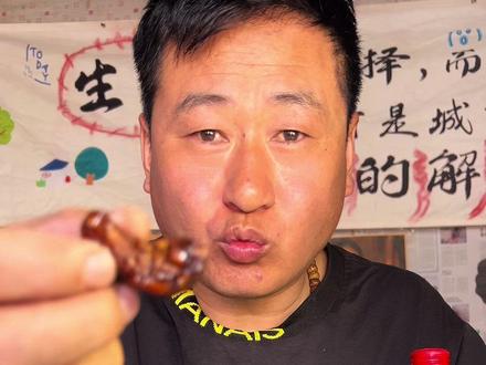 一个羊倌的快乐生活,今天吃个虫子#新农人计划#牧区生活#放羊#地方特色小吃