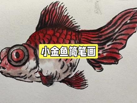 红色小金鱼的画法#画画#手绘#绘画#