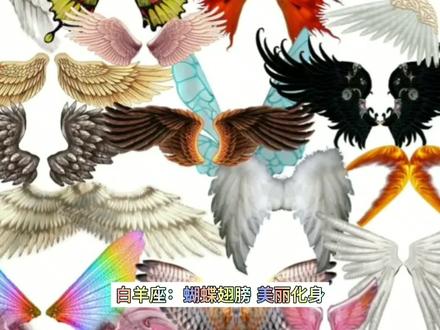 如果给你一双翅膀,你适合什么样的--十二星座翅膀