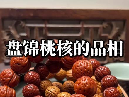 盘锦桃核的品相怎么看以及对应的价格区间#文玩桃核 #桃核手串 #真实生活分享计划