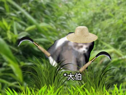 祭祖路上的角色任务安排 #猫meme #清明祭祖 #华南f3 #内容过于真实