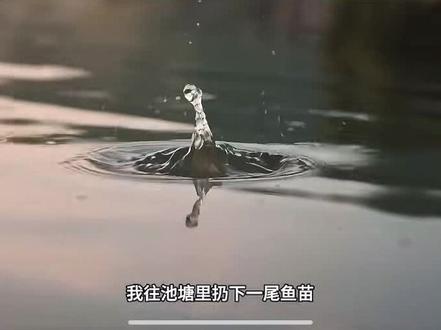 荒野爆杆记承包水库第2集#钓鱼#爆杆#钓鱼封神榜 #钓鱼人就是这么疯狂 #钓鱼搞笑视频