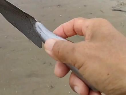 北风大退潮,沙尖鱼搁浅满沙滩,赶海发现乐坏了#赶海 #海鲜 #抓海鲜