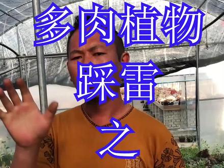 关于多肉植物施肥,你踩雷了吗?你还在以为你以为的就是你以为的吗?#抖音热门_ #多肉植物 #花卉绿植 #缓释肥 #新农人计划