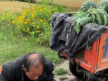 遇到了能帮就帮一把,众人拾柴火焰高,我们一起帮大爷的瓜早点卖完好吗?#记录真实生活 #传递正能量