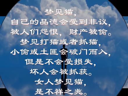 梦见猫代表什么?#周公解梦 #梦见猫咪