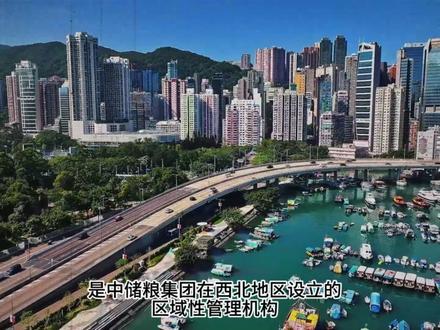 中储粮集团西安分公司党委书记、总经理戴中文也被查了!