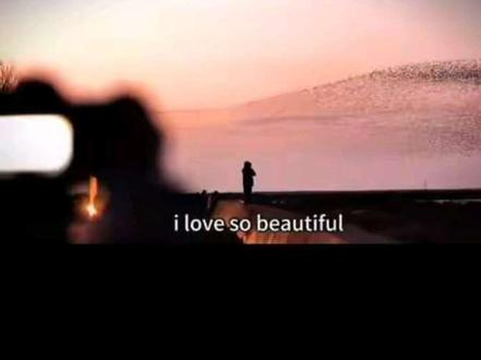 万鸟化鲲鹏,世界级鸟浪。------山东东营黄河入海口。
现实版庄子的《逍遥游》,北冥有鱼,其名为鲲。鲲之大,不知其几千里也;化而为鸟,其名为鹏。鹏之背,不知其几千里也;怒而飞,其翼若垂天之云。
#强烈推荐 #手机摄影 #鲲鹏 #鸟浪 #入海口