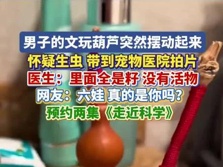 男子文玩葫芦突然摆动起来,最新进展:已带到宠物医院拍片, 里面全是籽,没有虫。网友:六娃,真的是你吗?(来源:浙江之声)#葫芦娃 #葫芦摆动 #走近科学