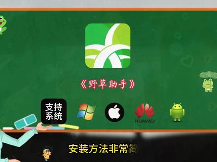 《白纸资源》#野草助手 #免费分享 #干货分享 #免费软件分享