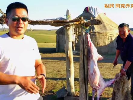生于斯,长于斯,为辽阔牧场,贵族羊肉感到自豪 一一裕民有多奇,江民告诉你