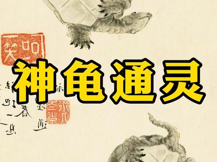 神龟虽寿,犹有竟时……养怡之福,可得永年。古人的智慧很通透。#中国传统文化