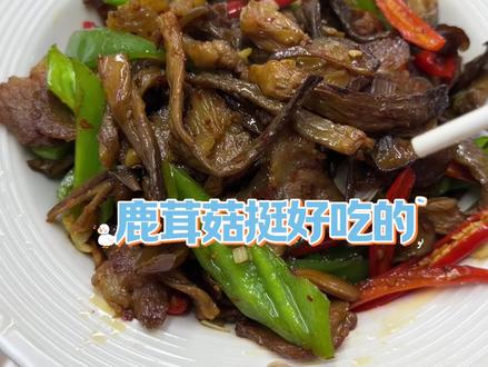 鹿茸菇 炒 炖 煲汤都好吃的 泡发好了成菜可快了 巨好吃 巨下饭#下饭菜 #特色家常菜 #鹿茸菇