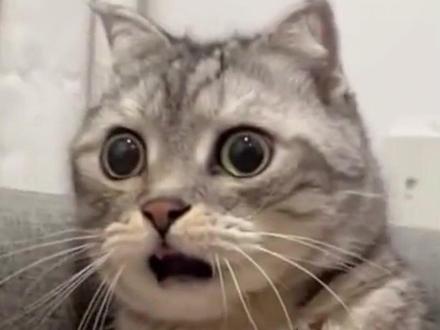 惹了来吧,镜头就会像奶油般化开#张桂源 #TF家族#时代峰峻大来吧 #TF四代 #养成系