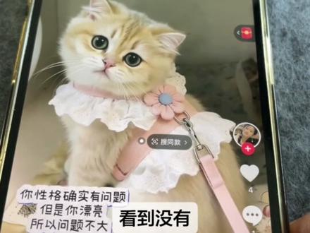 细分垂类的带货,还是很厉害的#内容太过真实 #讨论 #带货