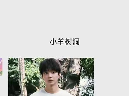 爱意随风起 #情感 #情感树洞#聊天记录yc #情感树洞