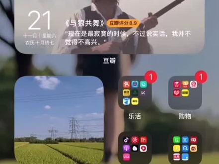 Notion上面ios插件的用法