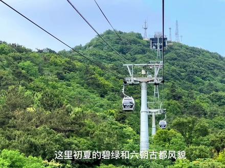 只需88💰(原价140💰),含苜蓿园地铁站至紫金山索道往返车票及索道上下全程费用,途经网红落羽杉林和燕雀湖,鸟瞰南京山水城林风光!#江苏美好推荐官 #治愈系风景 #开往梧桐大道的小火车