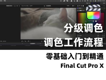 分级调色⎮调色工作流程 #fcpx教程 #FinalCutPro #干货 #小技巧 #视频教程 #Lut