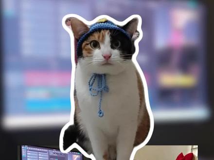 今天我也来玩一下开门小猫哈哈@超级无敌大开门 #真棒 #蒸蚌 #剪辑师 #代剪