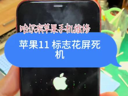 #苹果11不开机通病 #手机维修 #苹果手机保资料 #苹果11反复重启 #苹果手机维修 细活,急活不接。各种信不着的,斟酌。