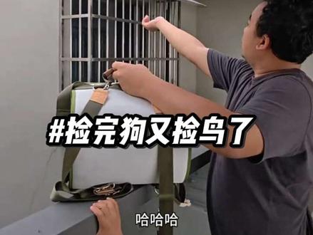 捡狗后续,又捡到鸟了…… 这是什么吸宠圣体吗😂 我都觉得像剧本#捡狗后续#捡鸟 #捡到鹦鹉 #捡鸟