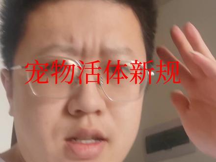 宠物活体这回天真塌了#猫#猫舍#金渐层