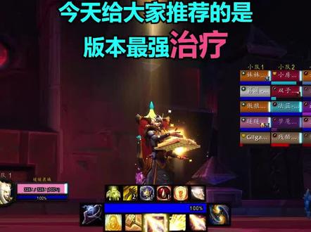 闪烁流奶骑,版本强势治疗