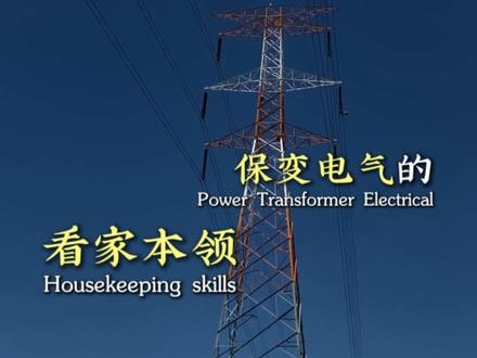 一分钟了解保变电气 #电力 #科技 #龙头
