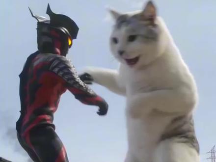 喵喵格斗大赛~
#seedance #猫咪 #奥特曼