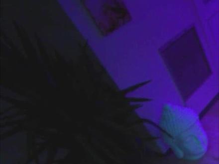 男孩舌头上竟然长出了毛发#宅家dou剧场 #影视解说