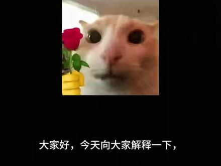 非常非常非常非常非常非常抱歉因为年龄比较小第一次剪视频所以剪的不是很好有瑕疵希望大家原谅🥺福瑞是一个非常好的圈子,希望不要被抹黑#福瑞