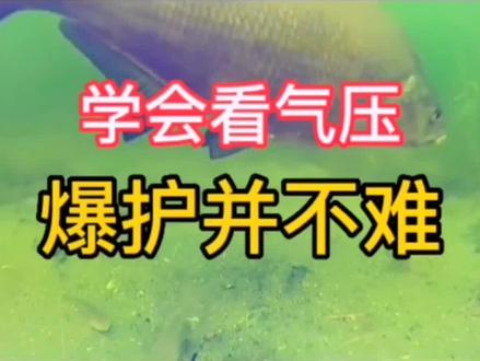 怎样判断气压高低决定是否出钓…#钓鱼 #钓鱼人 #钓鱼技巧 #野钓 #热门