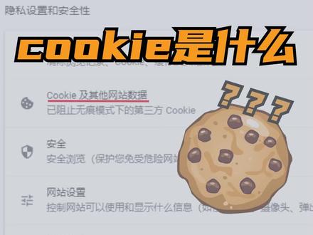 浏览器里的cookie到底是啥?它可不是曲奇饼哦@抖音小助手 #电脑知识 #浏览器 #doutech