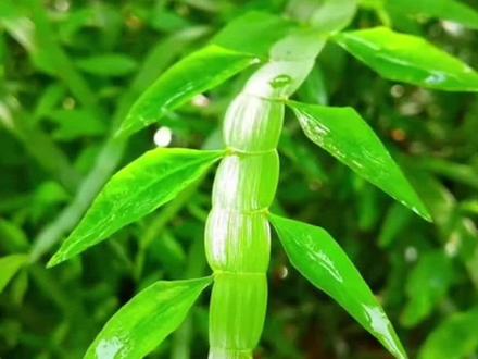 记不住的可以点赞加关注,等你需要的时候可以找到。