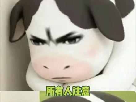 之前所有的罪孽都一笔勾销 #震惊 #离谱 #国外