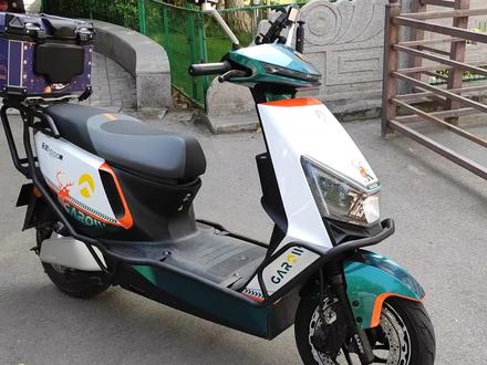 金箭峰神1000评测,新车没充电,第二天直接推车 #金箭峰神1000