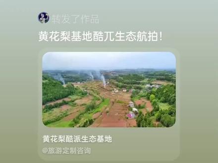 手中有π,心中有爱。
黄花梨酷π,我最爱。