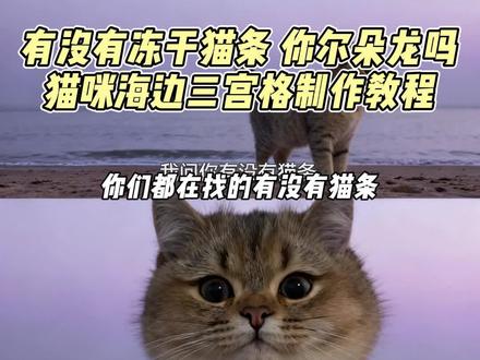 有没有猫条 你尔朵龙吗 猫咪海边三宫格制作教程来啦
有没有冻干 你尔朵龙吗 猫咪海边三宫格制作教程 猫咪海边拼图 猫咪ai三图拼接 ai猫咪拼图特效 豆包p图指令海边三横宫格狗狗 豆包p图指令海边三横宫格 #即梦ai #猫咪海边三宫格拼图 #猫咪ai特效教程 #猫咪海边三宫格 #猫咪海边拼图
柯基海边三宫格 柯基三宫格教程 柯基三宫格指令 柯基海边三宫格小动物指令 柯基三宫格豆包批图 狗狗海边三宫格 山的后面是什么狗狗指令 猫咪海边三宫格拼图 猫咪ai特效教程 猫咪ai特效指令 豆包p图三宫格指令 豆包p图三宫格口令猫电影大片ai猫电影大片ai口令 山的那边是什么ai生成猫咪指令 豆包ai图片生成口令 猫咪海边三宫格拼图 猫咪ai特效教程 山的后面是什么猫咪指令 豆包ai生成照片猫咪海边ai口令 山的那边是什么ai生成猫咪 山的那边是什么ai生成猫咪指令 猫咪海边豆包口令猫咪豆包p图指令 豆包ai图片生成口令宠物 豆包p图指令 缅因猫在同类眼中漂亮吗 缅因猫零食 缅因猫猫爬架 海的那边是什么你不必告诉我 海的那边猫咪版 海的那边是什么ai指令 海的那边是什么ai指令宠物 猫咪海边三宫格拼图猫咪三宫格拼图猫咪海边合照原图 猫咪三宫格拼图 猫咪海边合照原图 猫咪三格拼图怎么拍 猫咪海边 猫咪海边ai口令 猫咪海边ai 山的那边是什么ai生成 山的那边是什么ai生成指令猫咪山的那边是什么ai生成 山的那边是什么ai生成猫咪指令 山的那边是什么ai生成指令 山的那边是什么ai生成狗狗指令 山的那边是什么ai生成猫咪 山的那边是什么ai生成指令 山的那边是什么ai生成猫咪教程 山的那边是什么ai生成猫咪文案 猫咪豆包p图指令猫咪海边三宫格拼图猫咪ai大海 山的那边是什么ai生成指令 山的那边是什么ai生成狗狗指令 山的后面是什么ai生成猫咪指令 豆包ai图片生成口令宠物 豆包a图片生成口令 豆包ai图片生成指令 猫咪ai特效指令 猫咪ai特效教程 猫咪ai照教程 猫电影大片ai口令 猫电影大片ai山的那边是什么ai生成 海的那边是什么ai指令 海的那边是什么猫咪版 海的那边是什么猫咪版指令