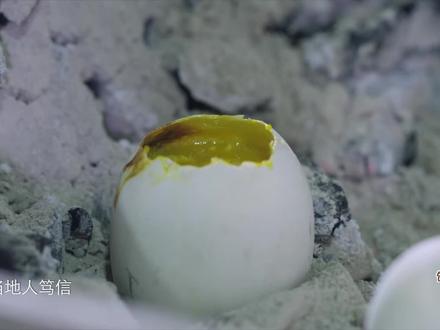 新疆-烤蛋 新疆烤蛋,滋阴补阳,吃出阳刚之气#美食