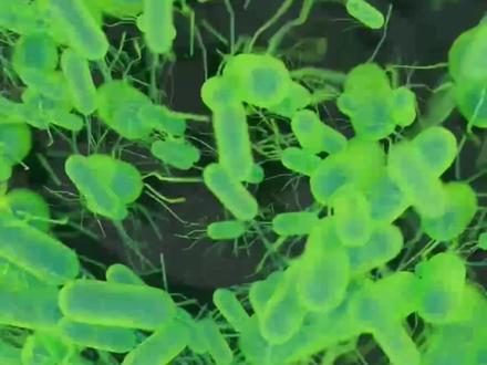 太空宇航员是如何将粪便转化为食物的? #科普 #涨知识 #宇航员