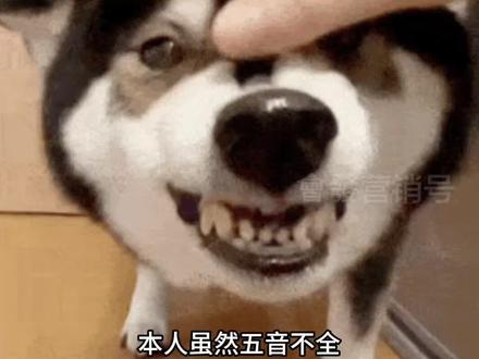 春节和家人玩一玩音乐杀吧~#Qni #音乐杀 #唱歌 #k歌 #社交