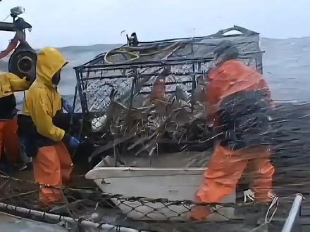 恶海捕蟹记8#帝王蟹 #纪录片 #雪蟹